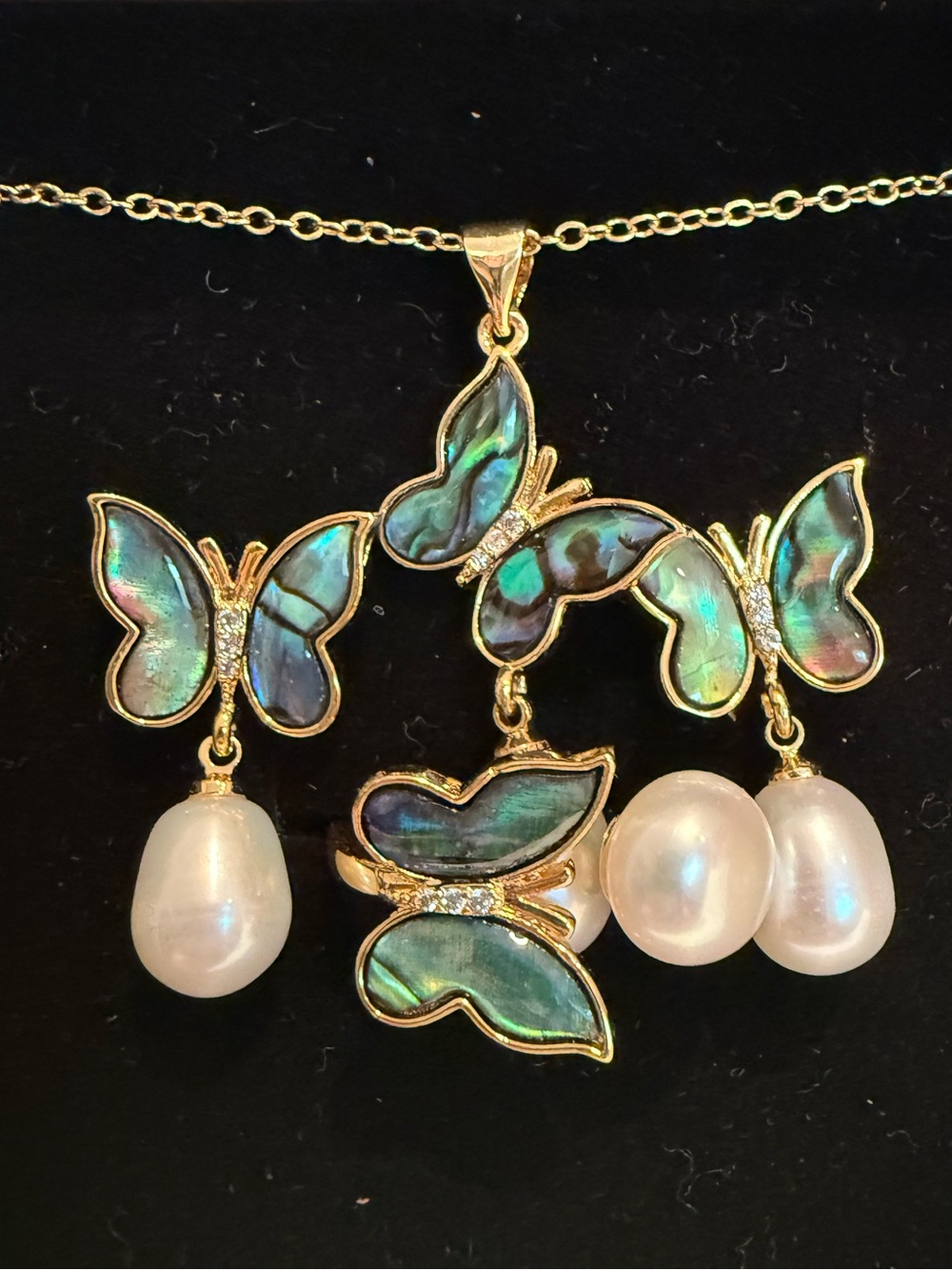 Gold Butterfly Abalone Set